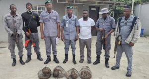 Customs intercepts FOUR live pangolins Customs intercepts FOUR live pangolins