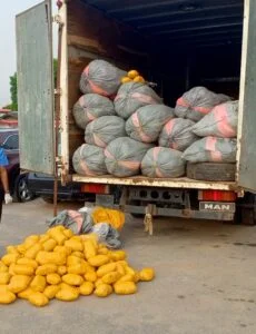 Police intercept Indian hemp-laden truck in Lagos