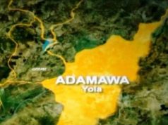 Police probe acid attack on teenager Police probe acid attack on teenager in Adamawa