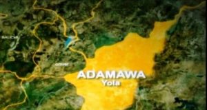 Police probe acid attack on teenager Police probe acid attack on teenager in Adamawa