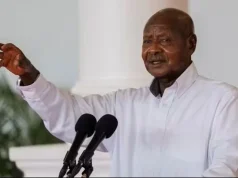Ugandan President Museveni seeks 7th term after 40 years in power Ugandan President Museveni seeks 7th term after 40 years in power