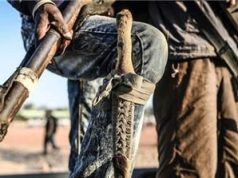 5 k!lled as gvnmen attack national park service office