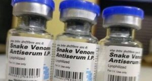 Snakebite: Anti-venom fully stocked, readily available in Abuja hospitals — FCTA Snakebite: Anti-venom fully stocked, readily available in Abuja hospitals — FCTA