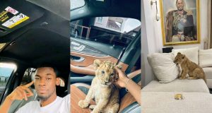 Mayor of Ekiti considers sending lion cub back to zoo over aggressiveness Nigerian Man considers sending lion back to zoo over aggression