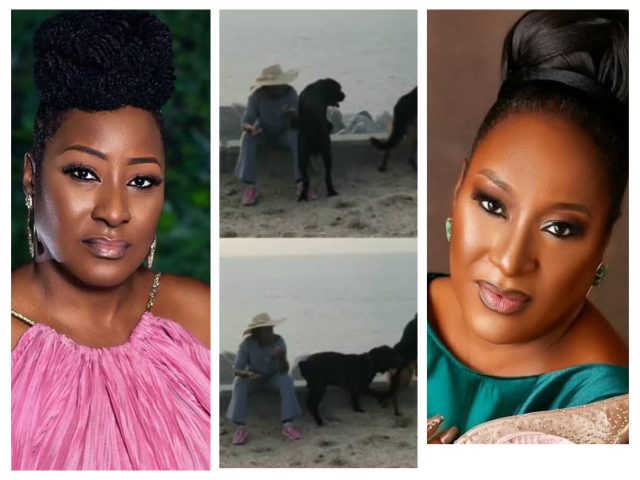 InCollage_20260202_123415085