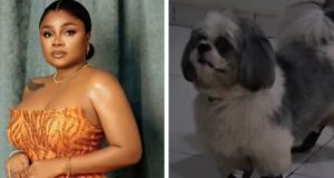 Bimbo Ademoye calls out her ‘ungrateful’ dog Bimbo Ademoye calls out her ungrateful dog