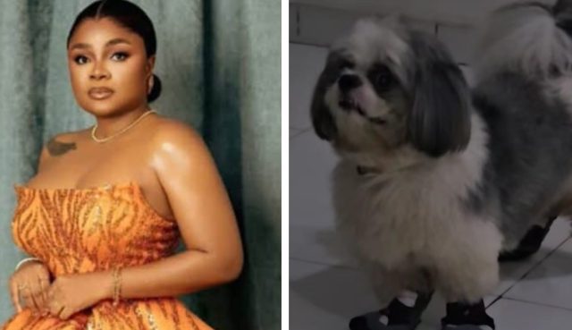 Bimbo Ademoye calls out her ungrateful dog