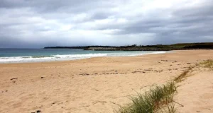 British couple drown in front of family at Australian beach British couple drown in front of family at Australian beach