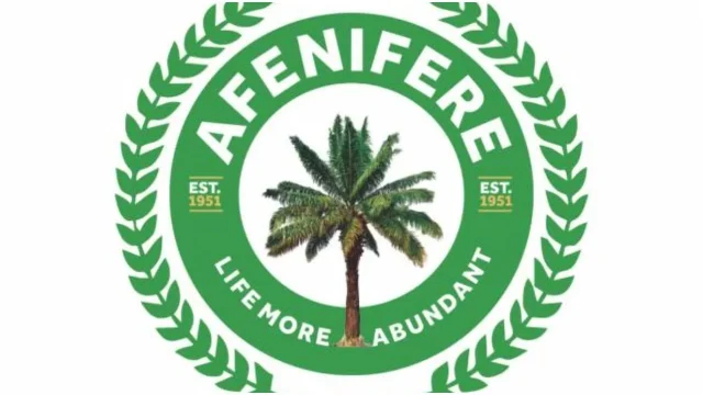 Kidnappers now demand v!rgins, hard drugs as ransom - Afenifere