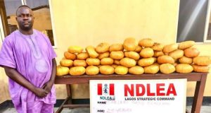 Lagos Ex-councilor arrested over drvg trafficking Lagos Ex-councilor arrested as NDLEA recovers 40kg of illegal drugs
