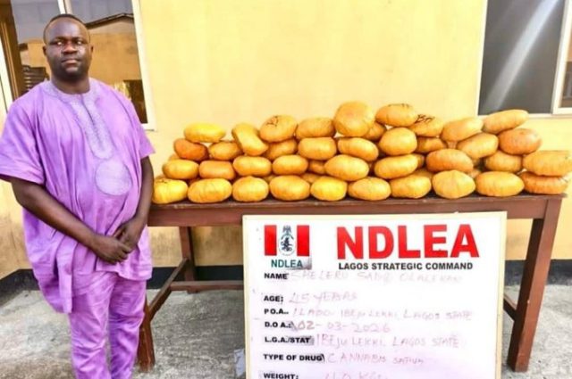 Lagos Ex-councilor arrested as NDLEA recovers 40kg of illegal drugs