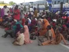 522 Nigerians voluntarily return home