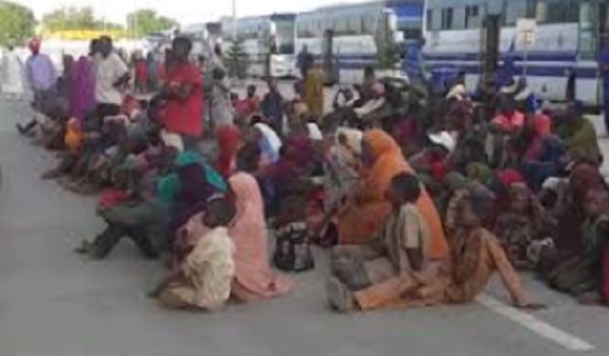 522 Nigerians voluntarily return home