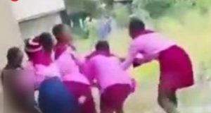 Disturbing video as Schoolgirls harass mate in Benue state Disturbing video as Schoolgirls harass mate in Benue state