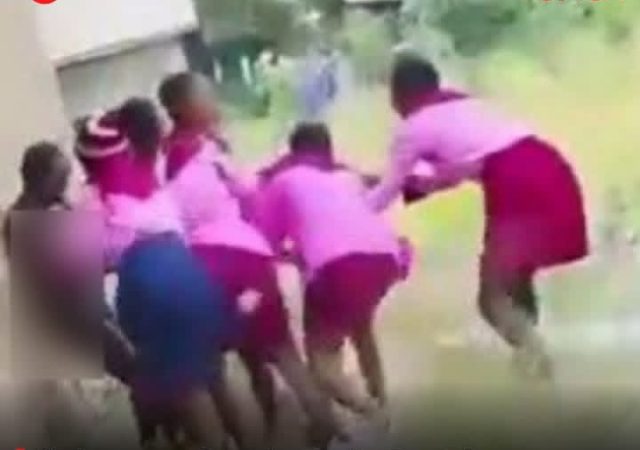 Disturbing video as Schoolgirls harass mate in Benue state