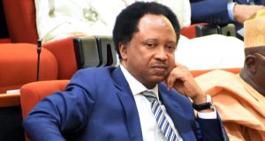 Shehu Sani mocks PDP for having only two Governors left Shehu Sani