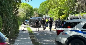 Golf star, Tiger Woods involved in car crash