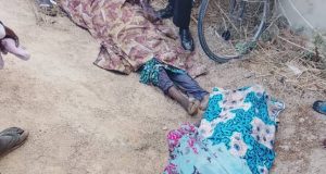 TWO youths drown in Kano while running from phone snatchers TWO youths drown in Kano