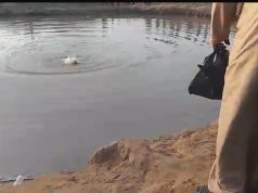 Two drown in Kwara quarry lake Two drown in Kwara quarry lake