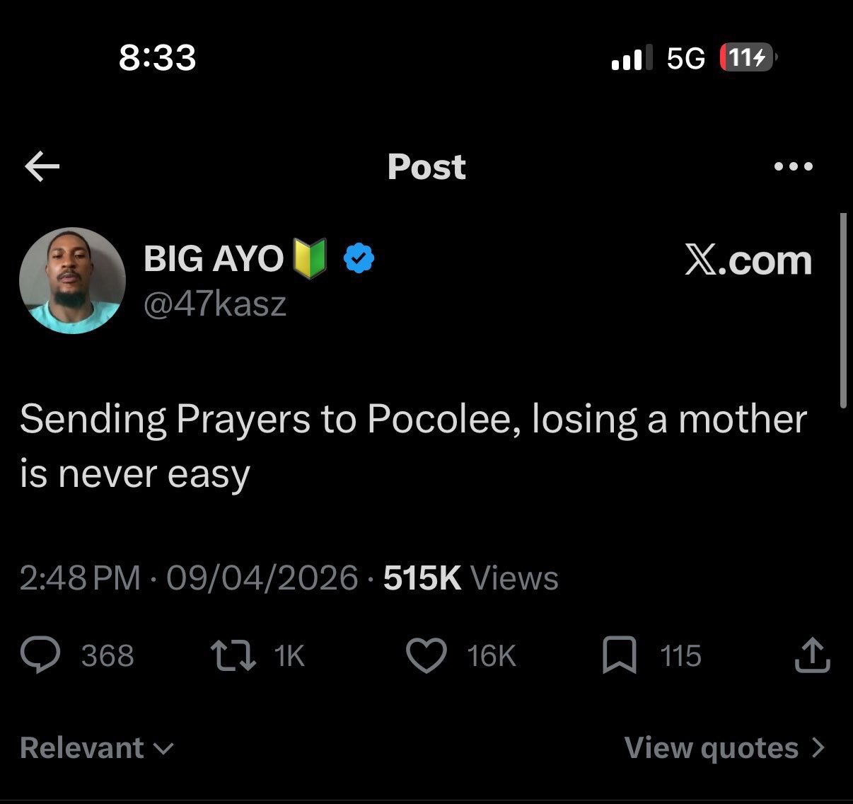 Poco Lee reportedly arrests X influencer, Big Ayo