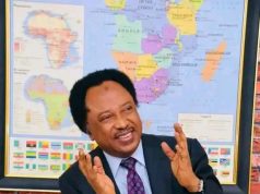2027: Shehu Sani picks APC Senatorial form 2027: Shehu Sani picks APC Senatorial form