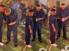 Adorable video of Churchill & son, King Andre Adorable video of Churchill & son, King Andre