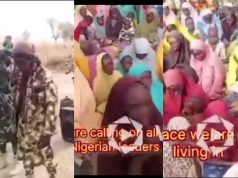 Boko Haram releases video of 416 abducted Ngoshe residents Boko Haram releases video of 416 abducted Ngoshe residents