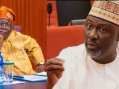I’ll defeat Tinubu in free, fair election -Dino Melaye I’ll defeat Tinubu in free, fair election -Dino Melaye