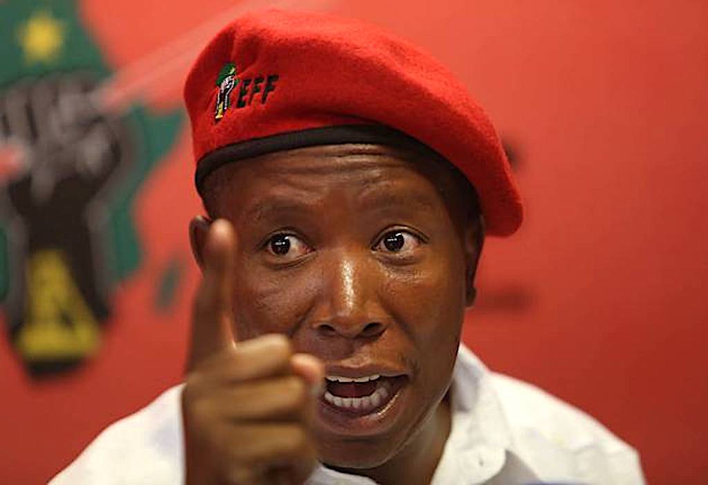 Julius Malema bags 5 years jail term over gun charges