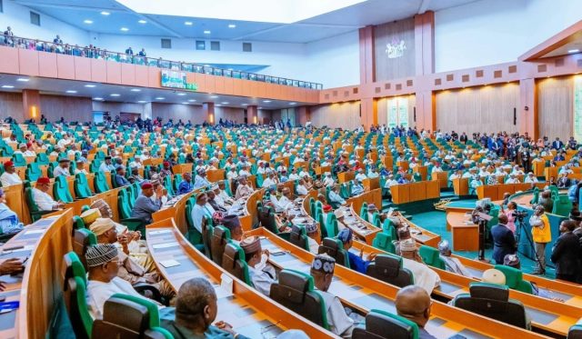 Reps pass 50-year national plan bill through second reading