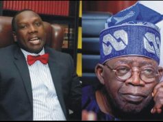 I never called Tinubu a drug lord – Daniel Bwala I never called Tinubu a drug lord - Daniel Bwala