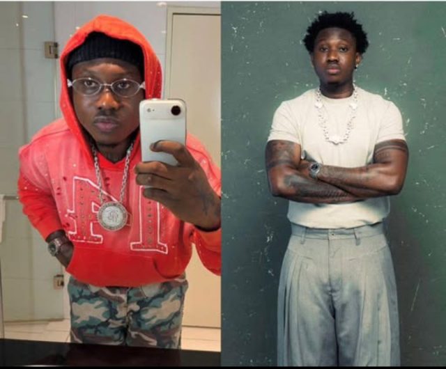 Zlatan Ibile willing to offer N5m monthly for a French teacher