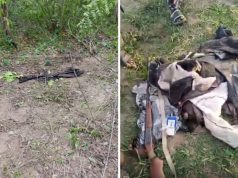 Stray elephant k!lls man in Oyo Stray elephant k!lls man in Oyo