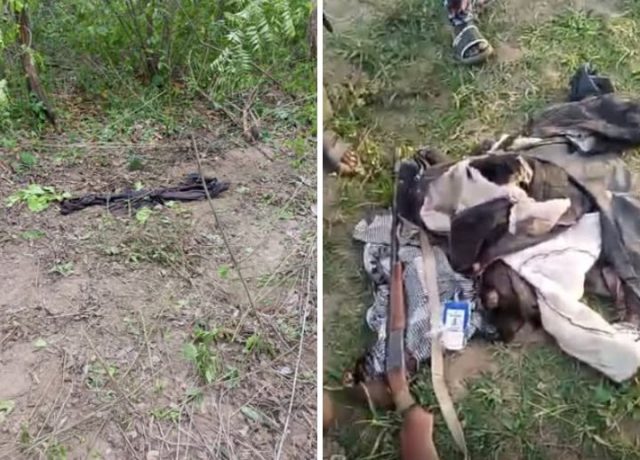 Stray elephant k!lls man in Oyo