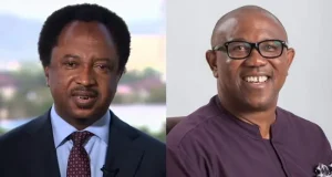 Support for Peter Obi tribalistic, i support Tinubu – Shehu Sani Support for Peter Obi tribalistic, i support Tinubu - Shehu Sani