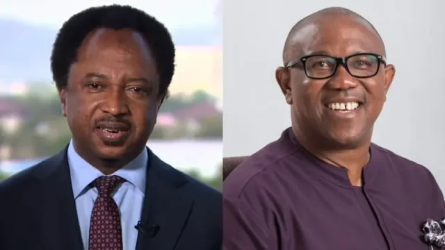 Support for Peter Obi tribalistic, i support Tinubu - Shehu Sani