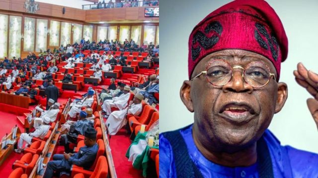 Senate approves Tinubu's loan request