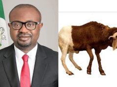 Eid ul-Adha: FG declares Wednesday, Thursday as public holiday Eid ul-Adha: FG declares Wednesday, Thursday as public holiday