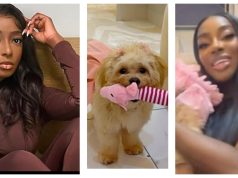 DJ DFP calls out pet store after sudden de.ath of her dog Bailey