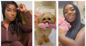 DJ DFP calls out pet store after sudden de.ath of her dog Bailey