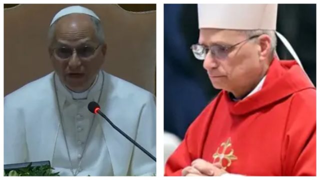 Pope Leo XIV warns about AI risks to humanity