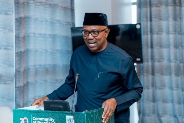 Many Nigerians prefer to d!e in South Africa than return home — Peter Obi