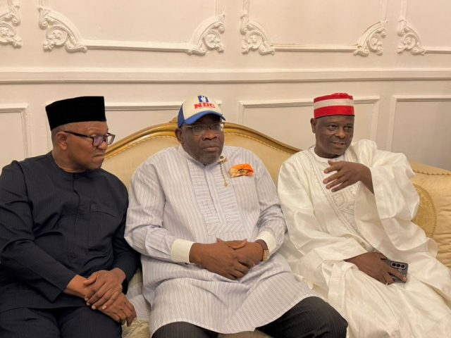 Peter Obi, Kwankwaso officially join NDC