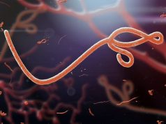 Ebola: Lagos begins limitation of passenger interaction EBOLA