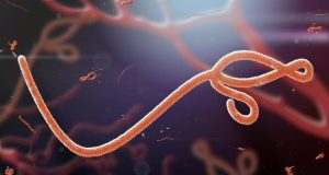 Ebola: Lagos begins limitation of passenger interaction EBOLA