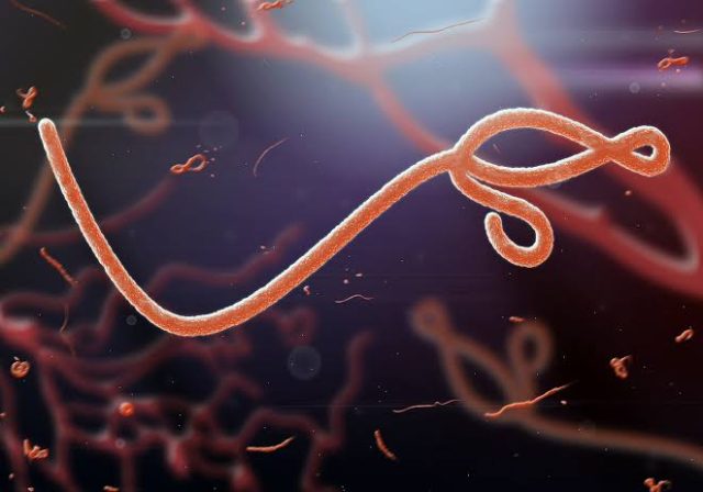 Ebola: Lagos begins limitation of passenger interaction EBOLA