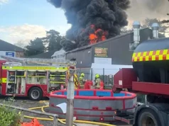 Fire rips through children’s mini zoo k!lling every animal inside Fire rips through children’s mini zoo k!lling every animal inside
