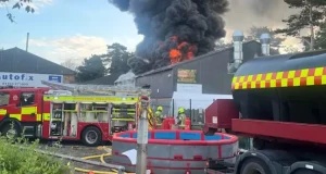 All animals d!e in fire at UK children’s Zoo Fire rips through children’s mini zoo k!lling every animal inside