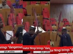 Tension as Senator Ningi arrives with spear at plenary Tension as Senator Ningi arrives with spear at plenary