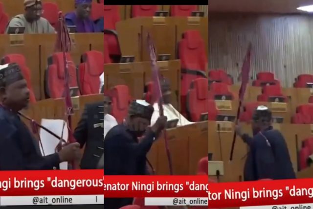 Tension as Senator Ningi arrives with spear at plenary Tension as Senator Ningi arrives with spear at plenary